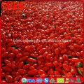 Gesundheitliche Vorteile von Goji Beeren getrocknet Goji Bacche Prezzo Goji Pro